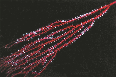 HAPPY8开心8·(中国大陆)手机APP