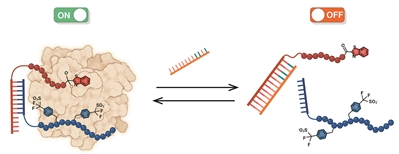 HAPPY8开心8·(中国大陆)手机APP